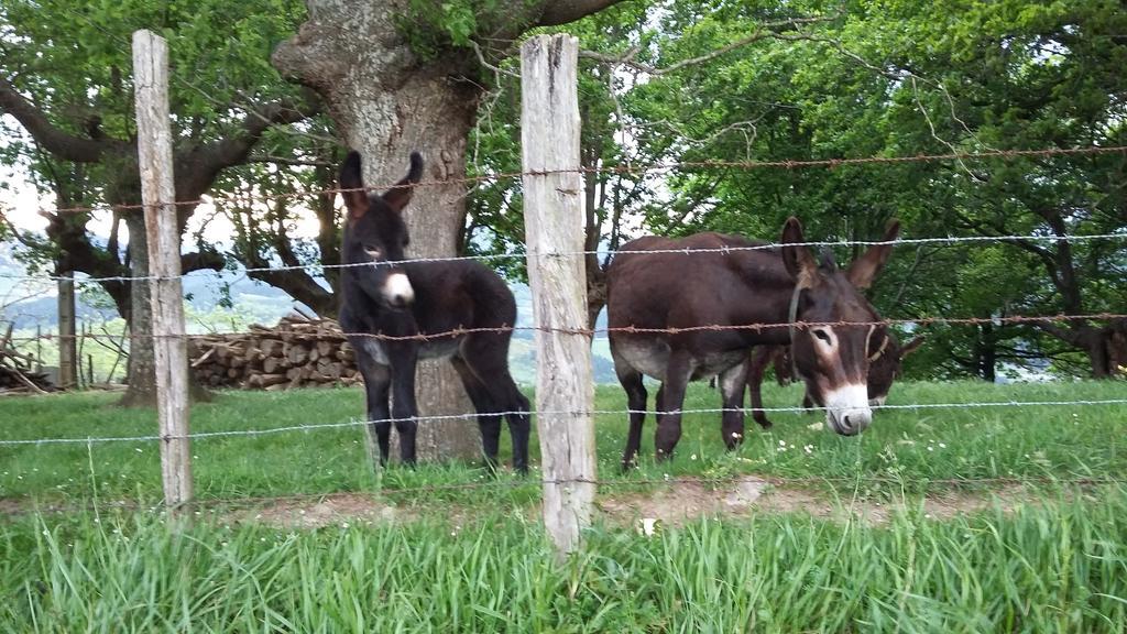 Casa Rural Urkulu Landetxea Arechavaleta Екстер'єр фото