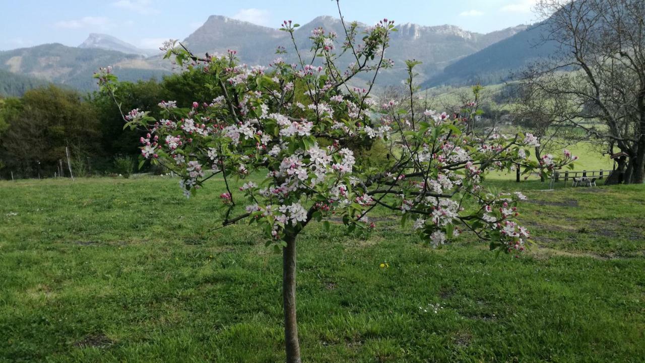 Casa Rural Urkulu Landetxea Arechavaleta Екстер'єр фото